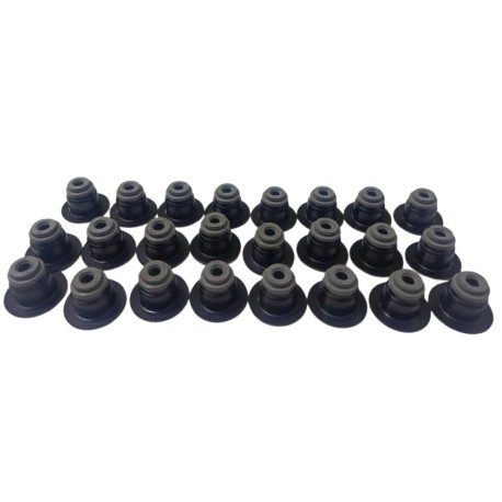 GOMAS DE VALVULAS TRITON EXPLORER FX4 8V 4.6 5.4 2V 24PCZAS