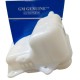 ENVASE RESERVORIO REFRIGERANTE CHEVROLET OPTRA DESING