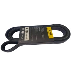 CORREA MICRO EXPLORER AUT.97-98 ALT/EXPEDITION/FORTALEZA 5.4