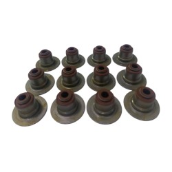 GOMAS VÁLVULA FRACO CHEROKEE KK KJ 6V 3.7 00-05