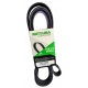 CORREA UNICA FORD F150 F350 00/10 SUPER DUTTY - TRITON 5.4