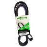 CORREA UNICA FORD F150 F350 00/10 SUPER DUTTY - TRITON 5.4