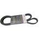 CORREA MICRO UNICA FORD FIESTA 1.6 FOCUS ZETEC SANTA FE A/A