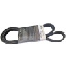 CORREA MICRO UNICA FORD FIESTA 1.6 FOCUS ZETEC SANTA FE A/A
