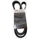 CORREA MICRO UNICA CENTURY BUICK V6 3.1 94/96 MAZDA B2500