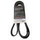 CORREA MICRO UNICA CENTURY BUICK V6 3.1 94/96 MAZDA B2500