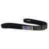 CORREA UNICA MAZDA 3 FORD FOCUS2.0 6PK1283