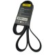 CORREA MICRO JEEP GRAND CHEROKEE ZJ LAREDO 96/98 5.2