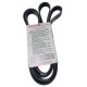 CORREA UNICA FUSION ESCAPE 3.0 TRAIL BLAZER 4.2 IMPALA 3.8