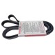 CORREA UNICA FUSION ESCAPE 3.0 TRAIL BLAZER 4.2 IMPALA 3.8