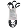 CORREA UNICA EXPEDITION 5.4 F150 4.6 5.4 JK61037A