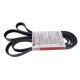 CORREA UNICA EXPEDITION 5.4 F150 4.6 5.4 JK61037A