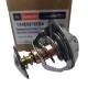 TERMOSTATO FORD FUSION TAURUS ESCAPE FOCUS ZETEC 2.0