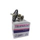TERMOSTATO LANCER SIGNO TOURING GALANT