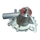 BOMBA AGUA CHEVROLET MALIBU MOTOR 231 / 252 78/83