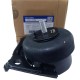 BASE DE MOTOR DER/ IZQ TOYOTA 4RUNNER 2003/2008) FJ CRUISER