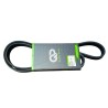 CORREA MULTICANAL TOYOTA YARIS 00-05 RENAULT CLIO 1.4 4CIL
