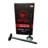 VALVULA ADMISION ACCENT 1.3/1.5/GETZ 1.3 CROMADA 4UND