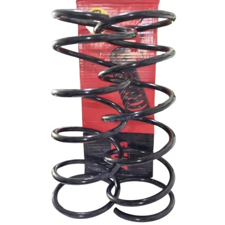 ESPIRAL FOCUS 2.0 ZETEC-DURATEC 01-08 DEL