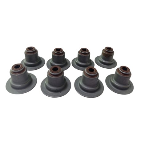 GOMAS DE VALVULAS FIESTA POWER MAX MOVE KA BALITA ECOSPOR1.6