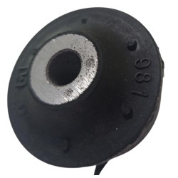 BUJE DE MESETA GRANDE KA