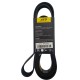 CORREA MICRO F-350 V8 MOT 351 91/92 CALIBER 2.0