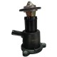 TERMOSTATO COMPLETO PLASTICO RENAULT SYMBOL CLIO II DUSTER