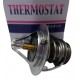 TERMOSTATO DE REFRIGERANTE DEL MOTOR TOYOTA HILUX 2.7 2TR YA