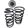 ESPIRAL CHEVROLET CORSA 1.3/1.6 2001/2010 CHEVYC2 07/10 DEL.