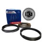 ANILLOS DE FORD EXPLORER 5.4 4.6 16V / 24V TRITON F150 F250
