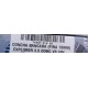 CONCHA BANCADA (FINA 19MM) EXPLORER 3.5 DOHC V6 24V