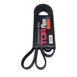 Correa Unica Ford Focus Zetec 2.0 Ranger 2.3 Bronco 88-96