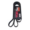 Correa Unica Ford Focus Zetec 2.0 Ranger 2.3 Bronco 88-96
