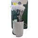BOMBA MODULO CONJUNTO GASOLINA CHERY TIGGO 2.0 2.4 (2 PICO)