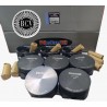 PISTONES DE EXPLORER 4.6 2V 3V SPORTRACK EXPEDITION FX4
