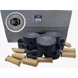 PISTONES FORTALEZA EXPEDITION FX4 F150 TRITON 5.4 EXPLORER