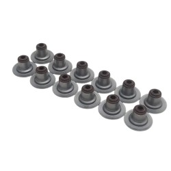 Goma Válvula Ford Fortaleza F150 4.2