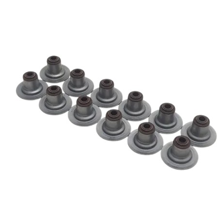 Goma Válvula Ford Fortaleza F150 4.2