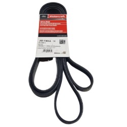 Correa Única Super Duty 6.2 F250/f350 2011 2018