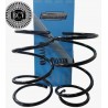 ESPIRAL TRASERO DODGE NEON 95-00