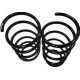 ESPIRAL RENAULT CLIO II / SYMBOL 16V 02-13/KANGOO 09/13 DEL
