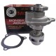 BOMBA AGUA FORD FIESTA KA 1.6 POWER MAX FORD ECOSPORT 1.6