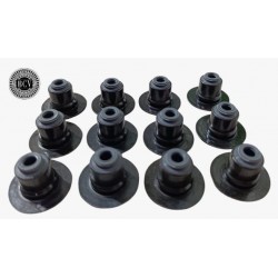 GOMAS DE VÁLVULAS CHEROKEE KK KJ LIBERTY 3.7 02-13