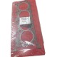 EMPACADURA CAMARA FORD TRITON 5.4 2V DERECHO (AMIANTO)