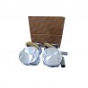 PISTONES (CON MUECA) CHERY ARAUCA / X1 / QQ6
