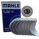 CONCHAS BIELA 0.10 RENAULT CLIO MEGANE SYMBOL LOGAN C/CUÑA