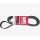 Correa Única Super Duty 6.2 F250/f350 2011 2018