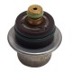 Regulador Gas Simbol Clio Logan Scenic Twingo MEGANE Kangoo