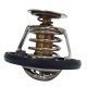 Termostato Jeep Grand Cherokee WK2 4G V8 5.7 11-19