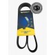 CORREA UNICA FORD EXPLORER 3.5 12-19 MICHELIN